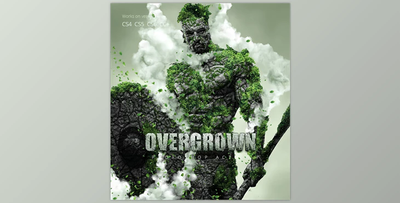Overgrown Photoshop Action