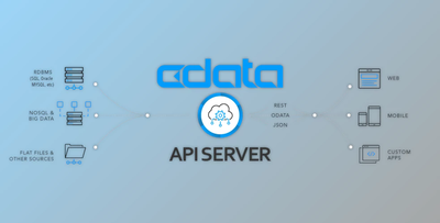 CData API Server v23.0.8731 (27 Nov 2023) for Win + License Key