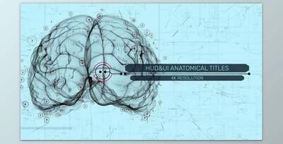 HUD UI Anatomical Titles (Motionarray 989989) - AE Project