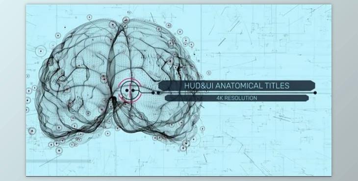 HUD UI Anatomical Titles (Motionarray 989989) - AE Project